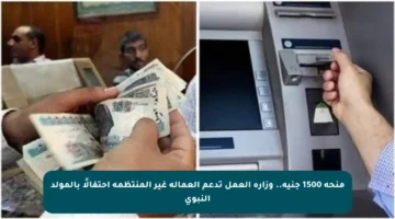 منحة 1500 جنيه.. وزارة العمل تدعم العمالة غير المنتظمة احتفالًا بالمولد النبوي